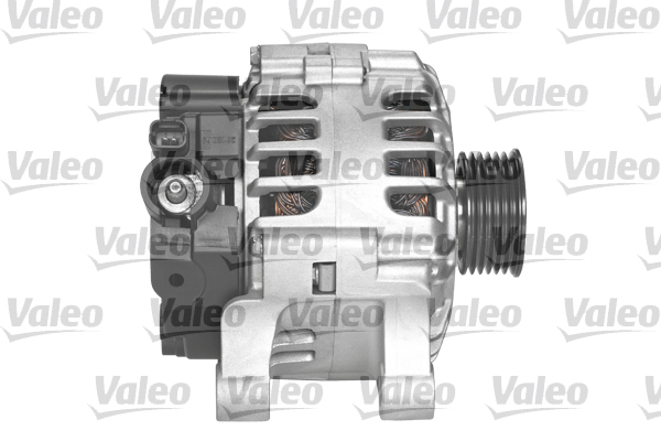 VALE439692
